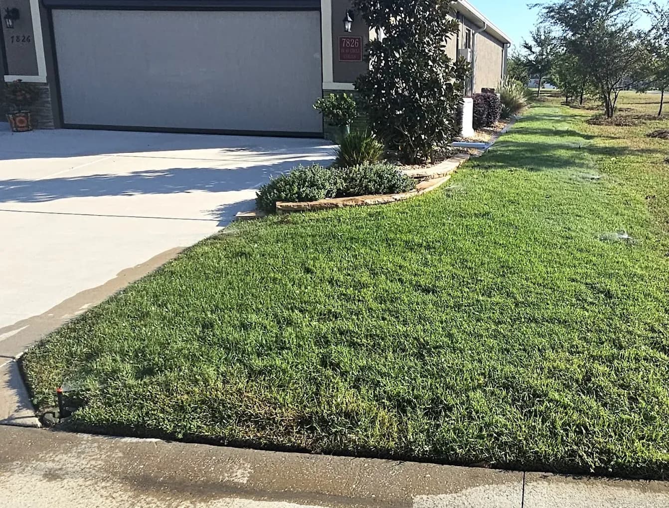Healthy green lawn running alongside a driveway at a Florida home