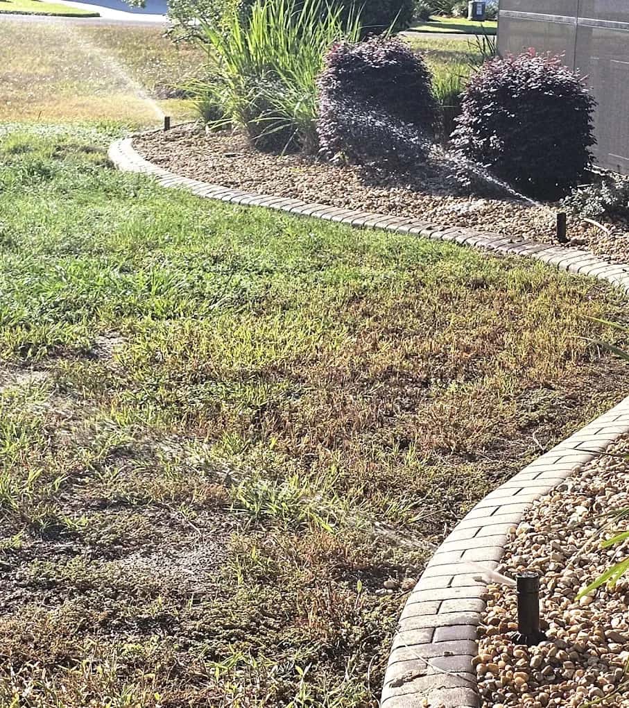 Landscape bed with shrubs and a paver border served by irrigation