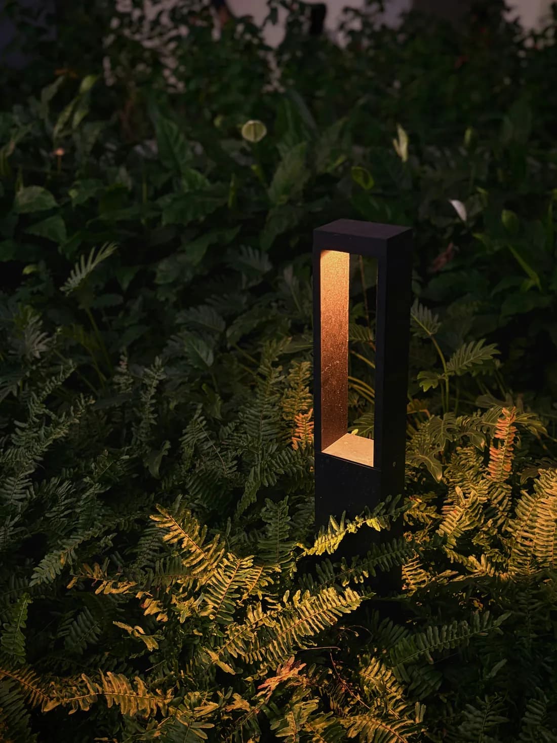 Low voltage landscape lighting bollard glowing warm among ferns at night