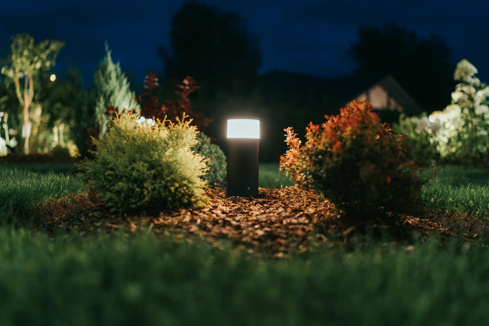 Low voltage path light illuminating a planting bed at dusk