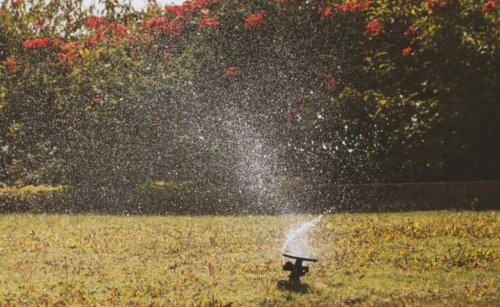Sprinkler head watering a green lawn on a sunny Ocala afternoon