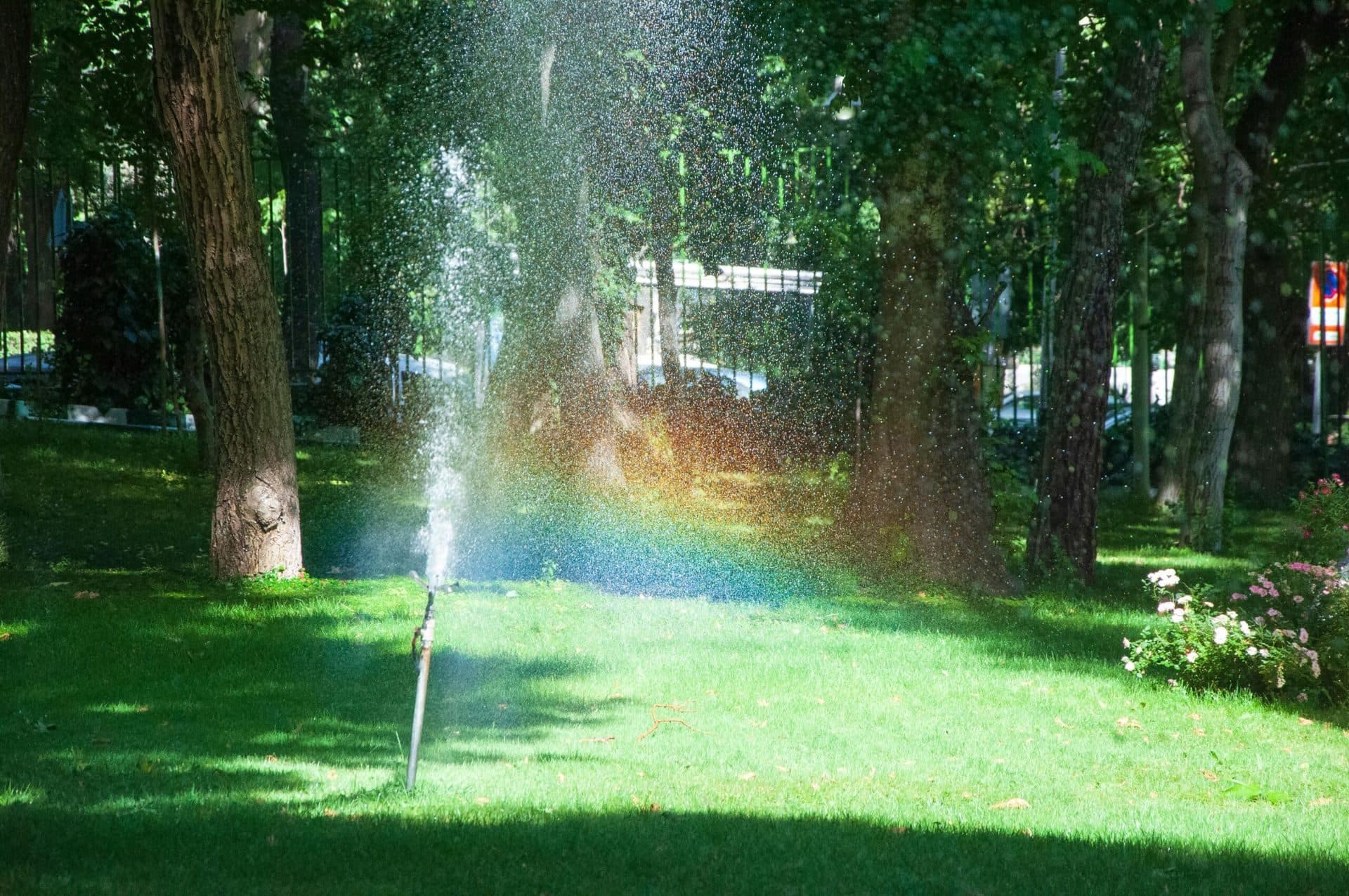 Sprinkler watering a lawn, illustrating irrigation system water usage