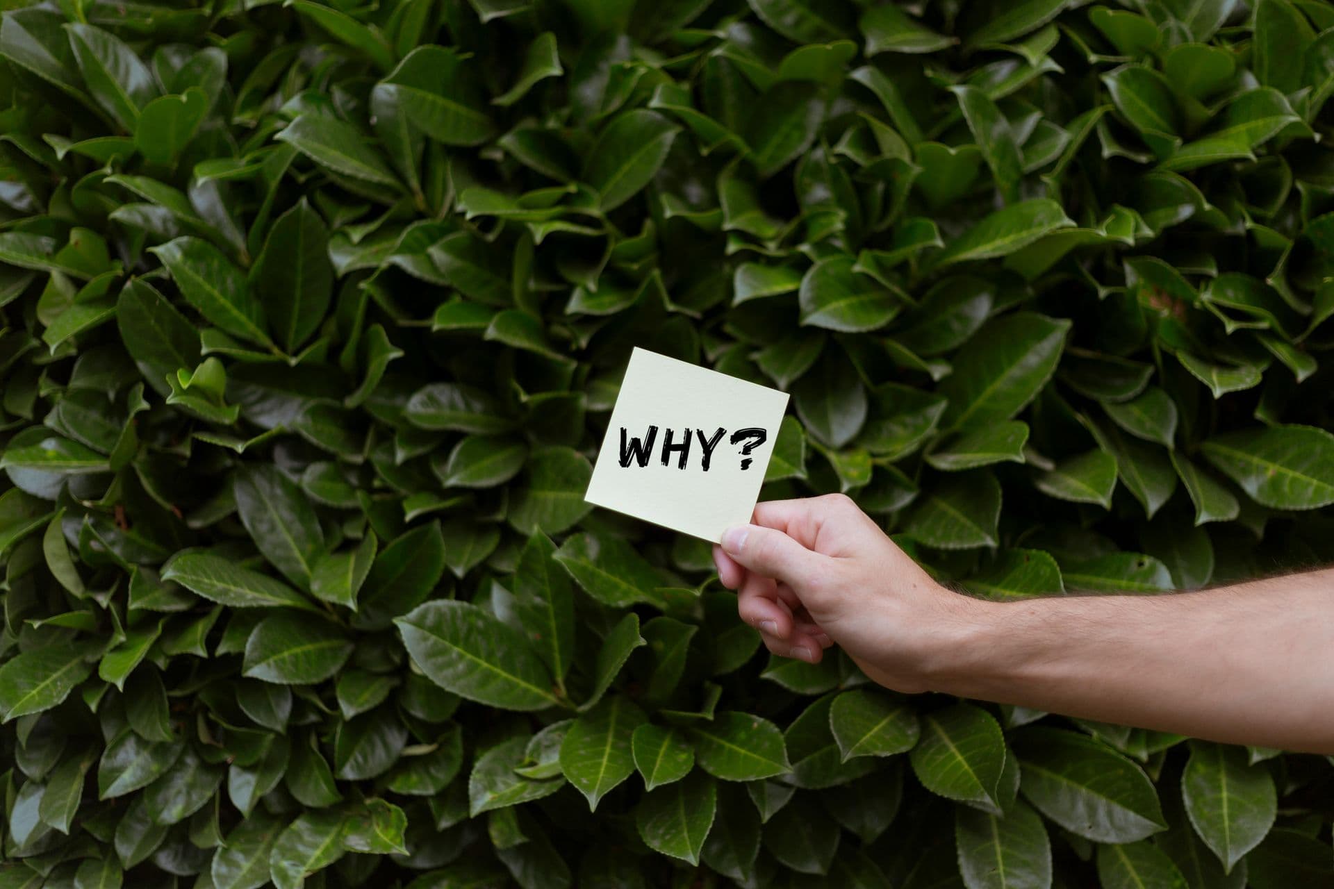 Sticky note reading Why, representing the questions to ask a sprinkler installer in Ocala, FL