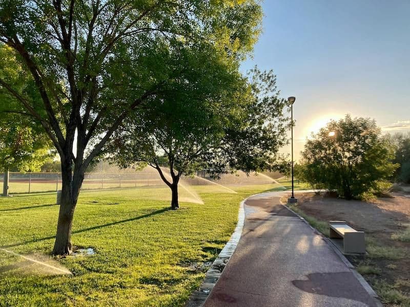 Sprinklers running across a park lawn at sunset