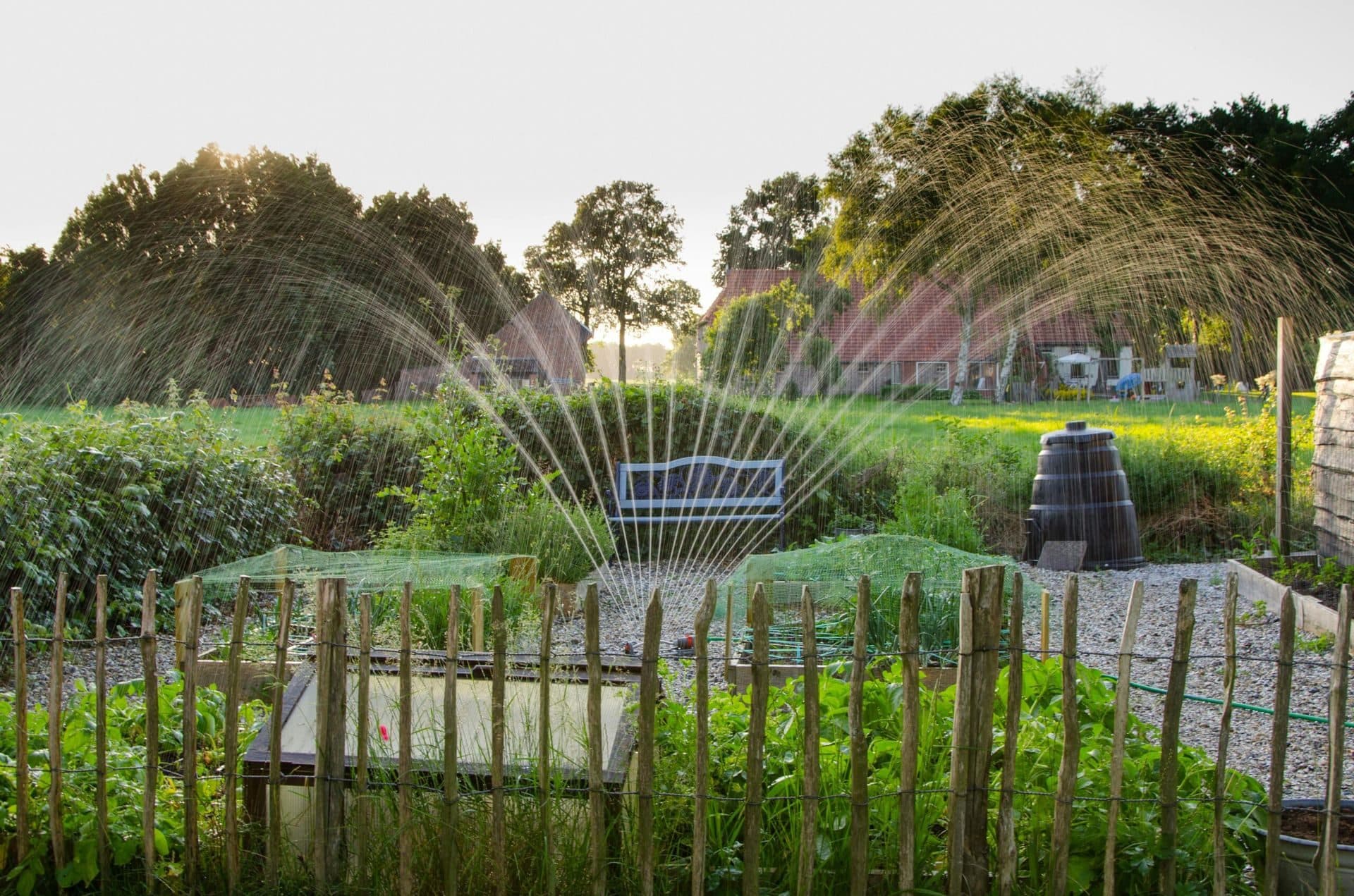Sprinkler watering a lawn and adjoining garden bed