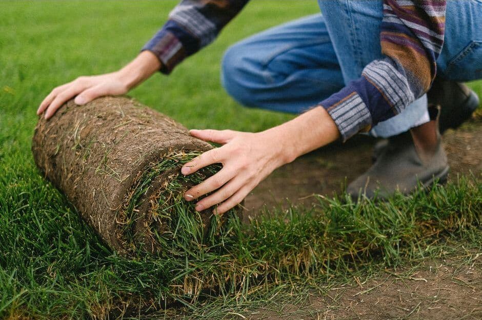 Fresh sod laid over a yard with a sprinkler system already installed